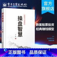 [正版] 操盘智慧 投资哲学与操盘智慧 私募投资人丁洋先生 逆向投资形成机理操盘智慧 投资盈利模型归纳私募内部基金报告