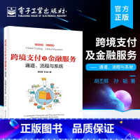 [正版] 跨境支付及金融服务 通道 流程与系统 全球汇款及购付汇跨境收款结汇境外本地支付通道系统设计跨境金融服务跨境支