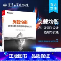 [正版]负载均衡:高并发网关设计原理与实践 负载均衡:高并发网关设计原理与实践 负载均衡技术原理教程书籍 负载均衡性能