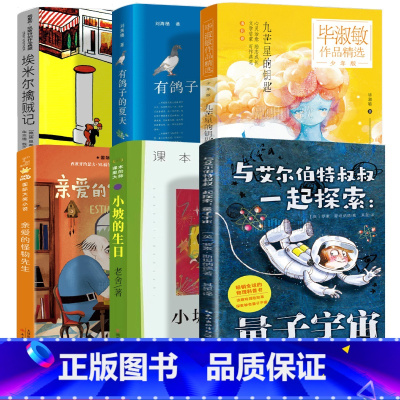 四年级套装6册 [正版]有鸽子的夏天 四年级寒假阅读 祖庆说百班千人大阅小森本狮书店 小学生课外书必读书籍 有鸽子的夏季