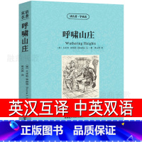 [正版]呼啸山庄中英对照版 中英文双语版中英汉对照中英文经典世界名著 外国文学长篇小说英文版原版英语读物初高中生课外阅