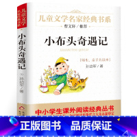 [正版]小布头奇遇记二年级 孙幼军著 三四五六年级 北京教育出版社小学生课外阅读书目儿童读物6-7-8-9-10-12