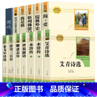 人教九年级12册 [正版]九年级上下册必读名著12册 儒林外史聊斋志异契诃夫短篇小说选格列佛游记简爱 世说新语围城艾青诗