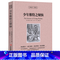 [正版]少年维特之烦恼 歌德原著英文原版中英文双语书籍名著读物英汉对照小说阅读 高初中生课外阅读zy