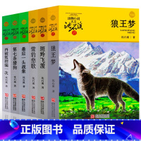 [正版]沈石溪动物小说精选品藏书系全集全套6册小学生课外书五六年级 狼王梦 第七条猎狗 雪豹悲歌 再被狐狸骗一次 斑羚