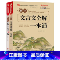 古诗文+文言文 共2本 初中通用 [正版]2023新版初中必背古诗文138篇和文言文全解一本通人教版 古诗词译注与赏析初