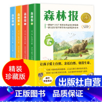 森林报全4册 [正版]出版社森林报春夏秋冬全四册 小学生三四年级阅读课外书必读上册经典书目 老师适合小学看的故事书籍3-