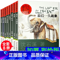 沈石溪画本全8册 [正版]沈石溪画本全套8册动物小说全集后一头战象第七条猎狗免邮斑羚飞渡 初中三四五六年级小学生课外阅读