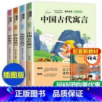 [正版]全套4册快乐读书吧 中国古代寓言故事三年级下册 伊索寓言小学版克雷洛夫寓言全集 拉封丹寓言小学生课外阅读书籍经