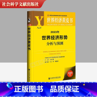 [正版]2023年世界经济形势分析与预测 世界经济黄皮书 世界及各国经济概况论述介绍书籍 社会科学文献出版社