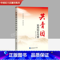 [正版]2022新书 共青团实用知识问答 中国民主法制 建团 600个问题讲解共青团知识的重点和热点 后附自