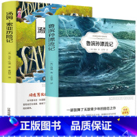 [正版] 汤姆索亚历险记+鲁滨孙漂流记(全2册)中文版原著完整版无删减青少年中小学生四五六年级初中生版课外阅读书籍鲁滨