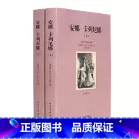 [正版] 安娜卡列尼娜 上下 无删节 全译本 列夫托尔斯泰(安娜·卡列尼娜 安娜卡列尼娜全译本 世界名著 名著 书