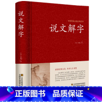 [正版]说文解字详解 全注全译全解 古代汉语字典古文字字典咬文嚼字细说汉字的故事国学读物常用字字典汉字工具书画说汉字全