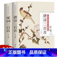 [正版]2册完整版300首唐诗三百首 宋词三百首 文白对照带注释译文赏析 全集全解无删减唐诗宋词鉴赏辞典 学生成人古诗