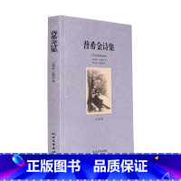 [正版]4本36元普希金诗集(全译本) 无删节 普希金 著 世界文学名著 中文版 书 普希金诗选全集 普希金精编集