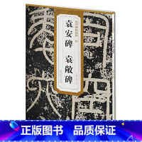 [正版] 汉袁安碑袁敞碑 历代碑帖精粹 薛元明主编 简体旁注碑帖篆书毛笔书法练字帖 安徽美术出版社 篆刻古帖书法书籍