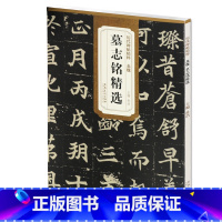 [正版] 北魏 墓志铭精选 元桢司马昞和妻孟敬训元显俊崔敬邕李壁张黑女历代碑帖精粹简体旁注杜浩张黑女李壁李璧碑张黑女墓