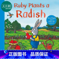 [正版]Axel Scheffler Ruby Plants a Radish露比种萝卜 自然儿童绘本 一页立体书 精