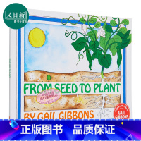 [正版]Gail Gibbons From Seed To Plant 盖尔吉本斯百科从种子到植物 英文原版儿童绘本