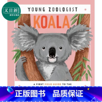 [正版]Young Zoologist:Koala 小动物家:澳洲考拉 英文原版进口 儿童百科绘本 动物科普知识图书