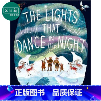 [正版]Yuval Zommer 灯光中跳舞 The Lights That Dance In The Night 英