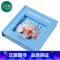 [正版]英国纸艺大师大卫 霍考克 热带鱼立体书 Tropical Fish 英文原版 David Hawcock 3D