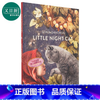 [正版]Sonja Danowski Little Night Cat 小夜猫 儿童绘本 英文原版 进口图书