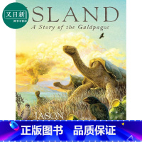 [正版]Jason Chin Island 岛 陈振盼 英文原版 进口图书 儿童绘本 故事图画书 海龟 海岛岛屿 生