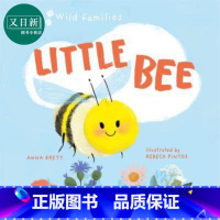 [正版]Little Bee A Day in the Life of the Bee Brood 小蜜蜂的一天 英文