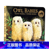 [正版]小猫头鹰纸板书 Owl Babies 猫头鹰宝宝 英文原版绘本 廖彩杏书单 儿童低幼宝宝启蒙入门 Martin