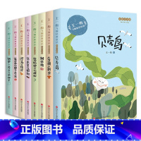 [全8册]王一梅经典童话 [正版]全套8册王一梅飞翔经典童话系列一二三年级课外书故事彩图注音版胡萝卜先生的长胡子蓝狐狸的