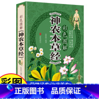 [正版]彩图加厚版图解神农本草经原著 原文+译文+注释中草药大全图鉴中医养生入门书籍本草纲目李时珍中药材书籍