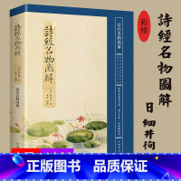 [正版]4本39 美了千年却被淡忘诗经名物图解[日]细井徇绘中国古诗词植物人物风景素描水彩绘画全集书籍 图解诗经全集