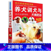 [正版]养犬训犬与犬病防治 家庭养狗指南 训狗一本通 家庭养犬大全/宠物饲养大全丛书