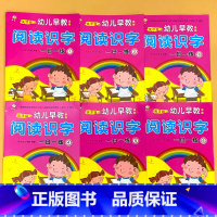 全6册-阅读识字幼儿早教系列 一日一练1-6全套 [正版]幼小衔接每日晨读幼儿园绘本阅读与识字带注拼音版大字读物2-3-