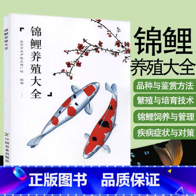 [正版]锦鲤养殖大全 锦鲤饲养殖方法技巧池塘养鱼观赏鱼锦鲤养殖技术大全养殖与鉴赏鲤鱼喂养技巧教程观赏鱼常见疾病防治书籍