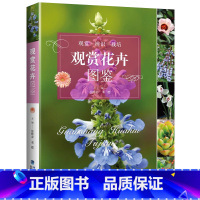 [正版]观赏花卉图鉴 1000种花卉鉴赏图鉴花与花语 184种常见四季花卉手册花语与花图鉴书籍