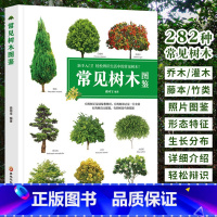 [正版]常见树木图鉴 新手入门轻松辨识 大自然植物乔木灌木盆栽盆景园林绿化树木鉴赏识别书籍学生自然百科普全书中国花草树