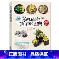 [正版]多肉植物活用轻图典:190种多肉植物图鉴/多肉养殖教程多肉品种大全多肉贵族十二卷属植物百科图鉴书籍