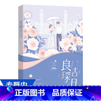 [正版]4本39良琛吉日 小满 著花火出品倒追暖心虐恋现代都市青春言情小说书籍她心见陆心那时喜欢你月光替我向你应许你喜