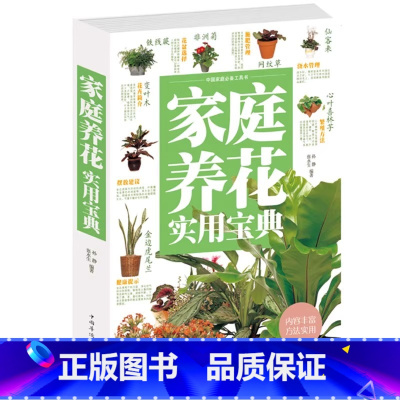 [正版]家庭养花实用宝典 家庭养花实用大全集插花艺花卉种植盆景制作养殖书教程书籍