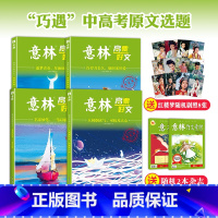 意林高票好文系列 4本 [正版]意林高票好文20周年名家妙笔一苇以航/逐梦青春星海征程/许岁月长久愿时光厚爱/人间烟火气