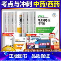 [考点精练与冲刺卷 中药4本] [正版]2023年新版执业药师职业资格证考试药学综合中药知识与技能考点精练与冲刺卷解析西