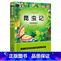 太阳鸟系列:昆虫记 [正版]太阳鸟系列注音版昆虫记文学故事书一二三年级课外书班主任小学生世界名著阅读书籍儿童读物7-10