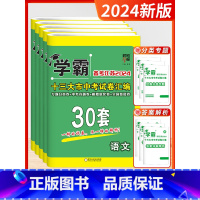 [2024]语数英物化 套装5本(江苏版) 初中通用 [正版]备考2024学霸江苏13十三大市中考试卷汇编30三十28二