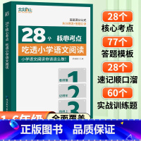 28个核心考点吃透小学语文 小学通用 [正版]天天向上28个核心考点吃透小学语文阅读一二三四五六年级阅读理解公式法每日一