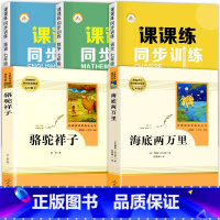 七年级下/[七年级下册]语数英课课练+骆驼祥子.海底两万里 全5册 七年级下 [正版]2022新 七年级下册同步练习册全