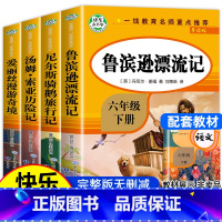 [六年级下册快乐读书吧]全套4册 [正版]快乐读书吧六年级下册必读的课外书全4册鲁滨逊漂流记老师爱丽丝漫游奇境尼尔斯骑鹅