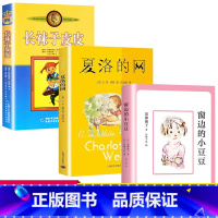 [正版]长袜子皮皮三年级经典书目四年级五全套3册夏洛的网小学 窗边的小豆豆南海出版社6-12岁课外阅读故事书非注音外国